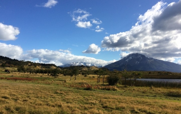 Chile: Wine Country & the Coast