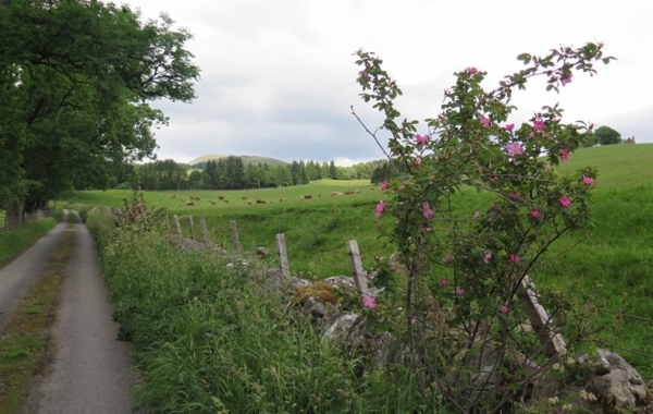Scotland: The Highlands