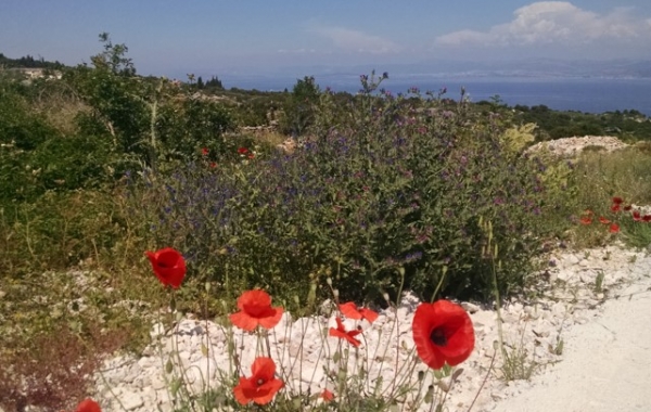 Croatia: The Dalmatian Coast