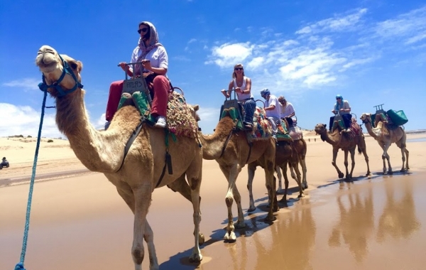 Morocco: Marrakech, Foothills of the High Atlas & Essaouira