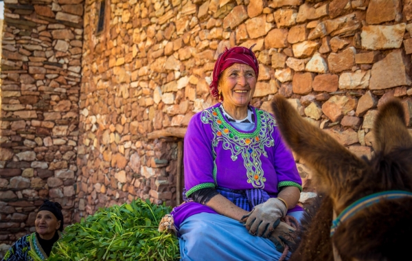 Morocco: Marrakech, Foothills of the High Atlas & Essaouira