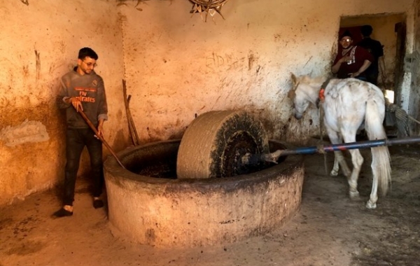 Morocco: Marrakech, Foothills of the High Atlas & Essaouira