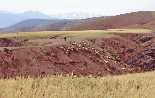 Morocco: Marrakech, Foothills of the High Atlas & Essaouira