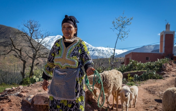 Morocco: Marrakech, Foothills of the High Atlas & Essaouira