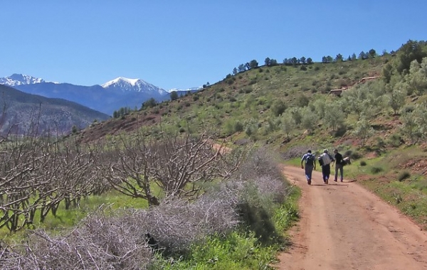 Morocco: Marrakech, Foothills of the High Atlas & Essaouira