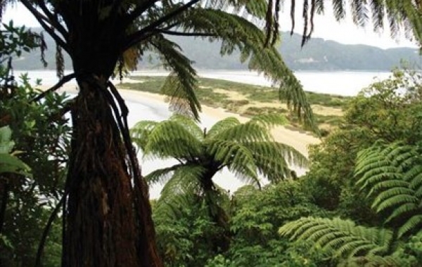 New Zealand: The South Island Tour