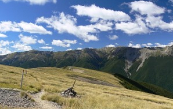 New Zealand: The South Island Tour