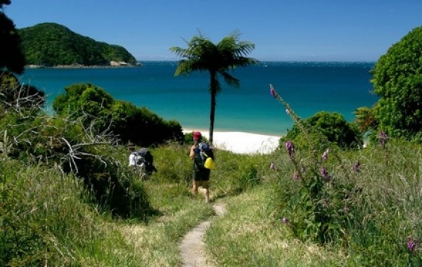 New Zealand: The South Island Tour