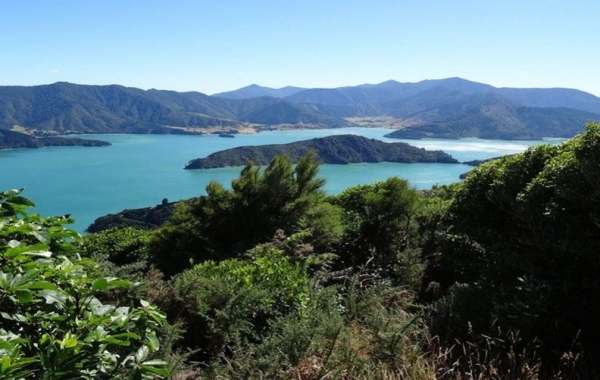 New Zealand: The South Island Tour