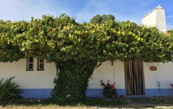 Portugal: Sintra, Óbidos & the Coast