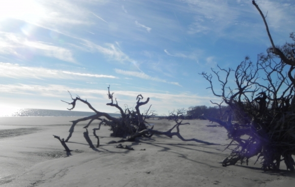 Georgia: Savannah & The Golden Isles