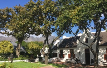 South Africa Safari: The Cape & Kruger National Park