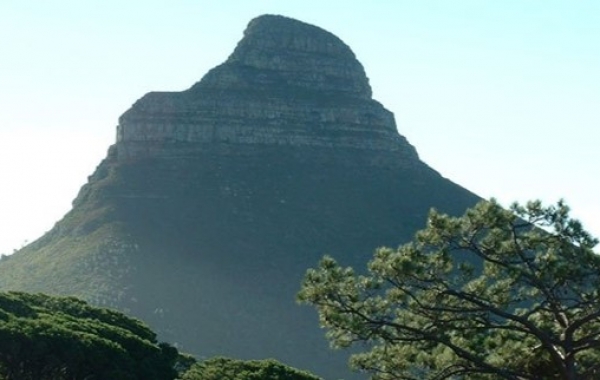 South Africa Safari: The Cape & Kruger National Park