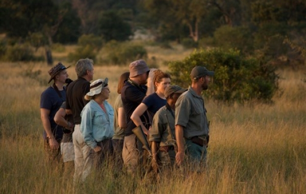 South Africa Safari: The Cape & Kruger National Park