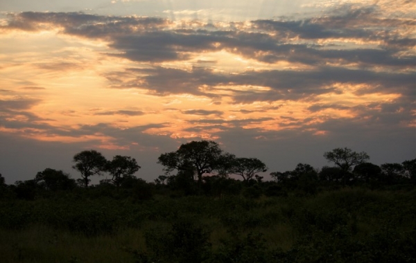 South Africa Safari: The Cape & Kruger National Park