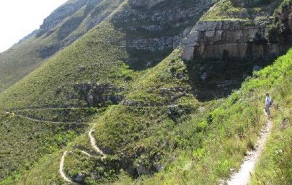 South Africa Safari: The Cape & Kruger National Park