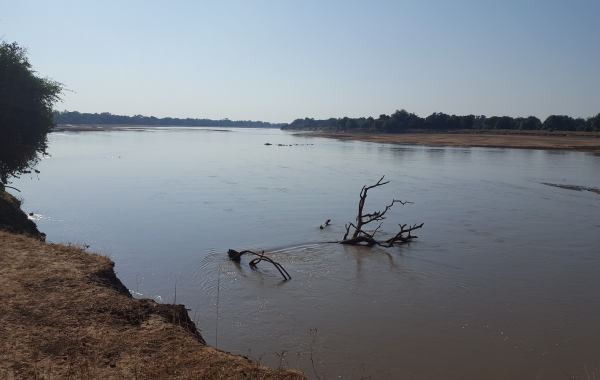 Zambia Safari: Exclusive Camps & Bush Walks