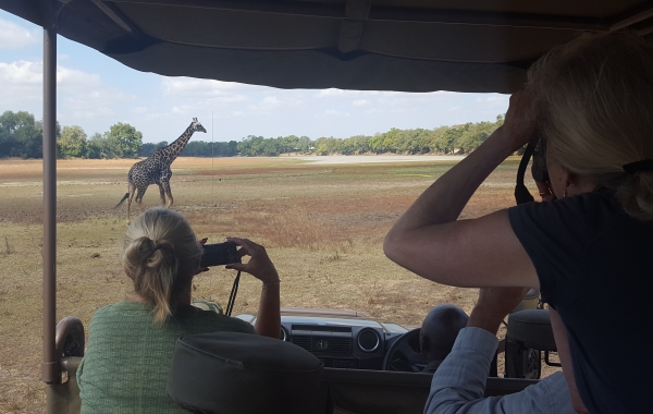 Zambia Safari: Exclusive Camps & Bush Walks