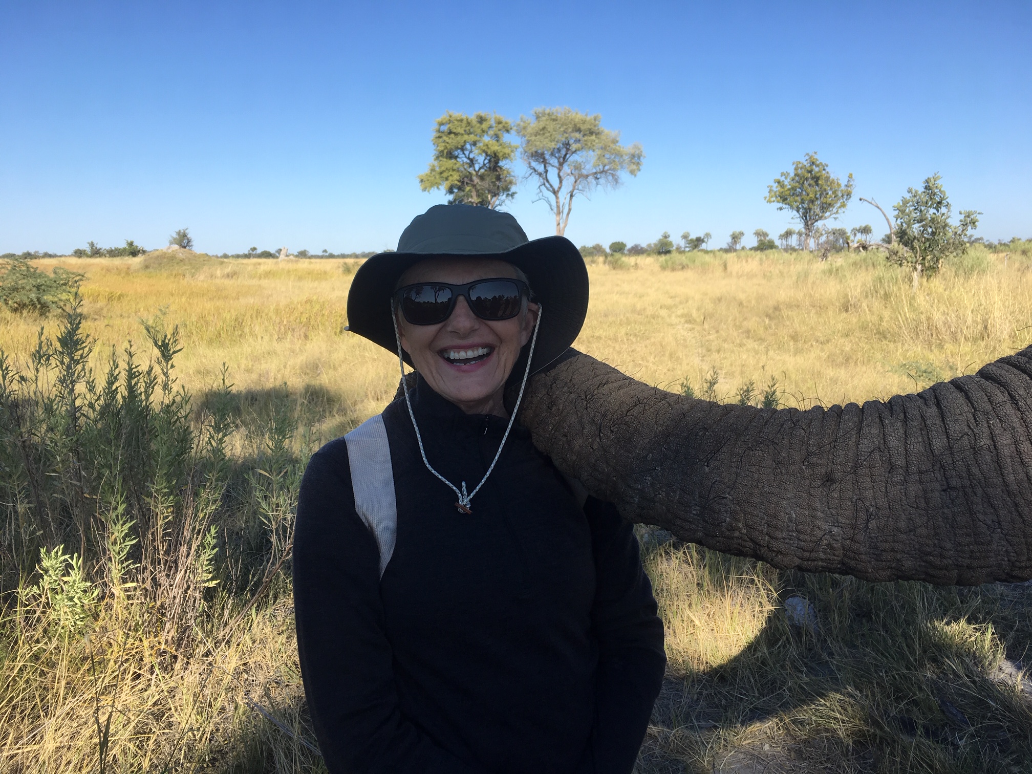 Strolling ‘Hand-in-Trunk’ in Botswana 6