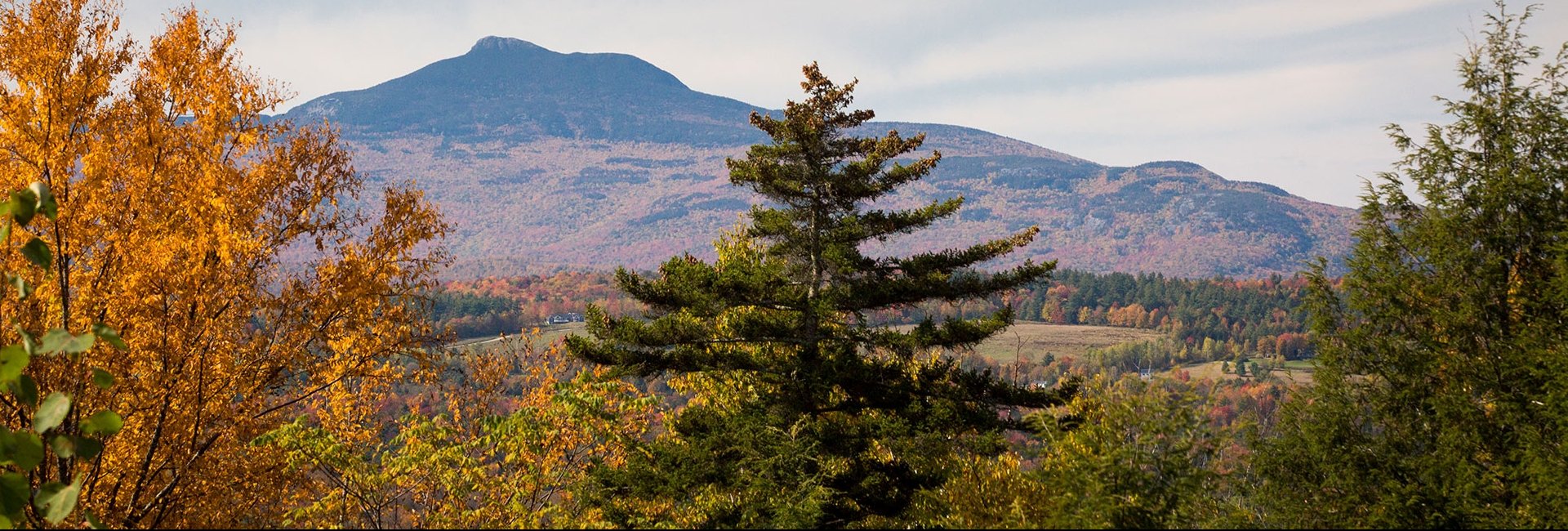 Fir trees and mountains in Vermont