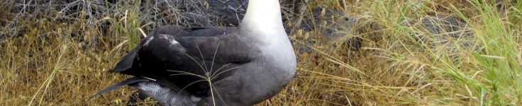 Ecuador 4