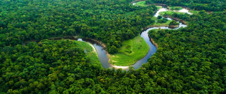 Ecuador: Andes & the Galapagos 15