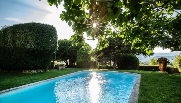 Le Clos du Buis