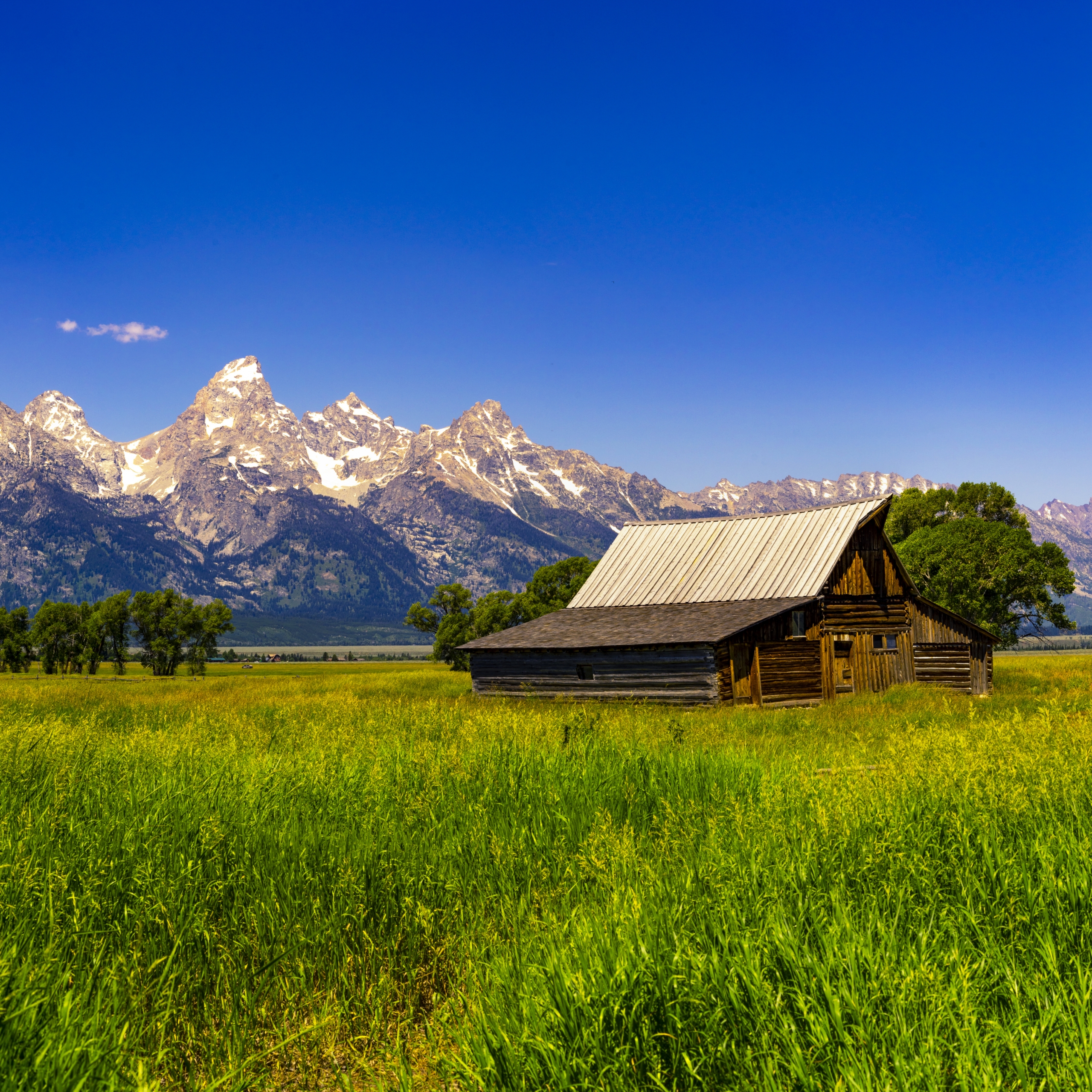The Top Yellowstone Tips from Our Guides 3