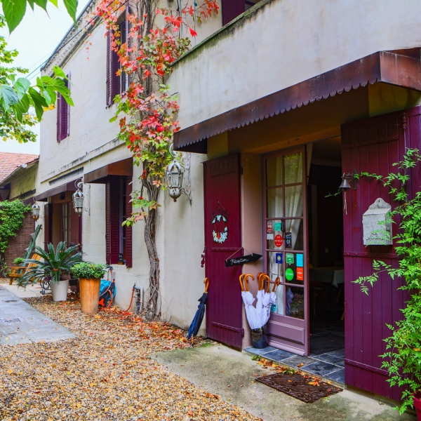 Why This Boutique Hotel Offers Better Hospitality 1