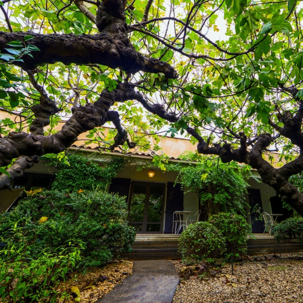 Why This Boutique Hotel Offers Better Hospitality 4