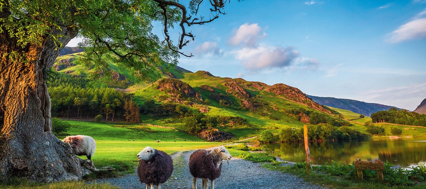 Our Annual Tour Consultant Travel Survey 1