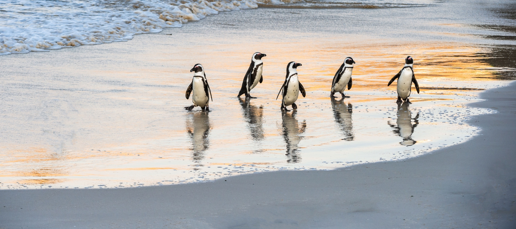 How VBT Guests Are Supporting Sustainable Travel in 2022