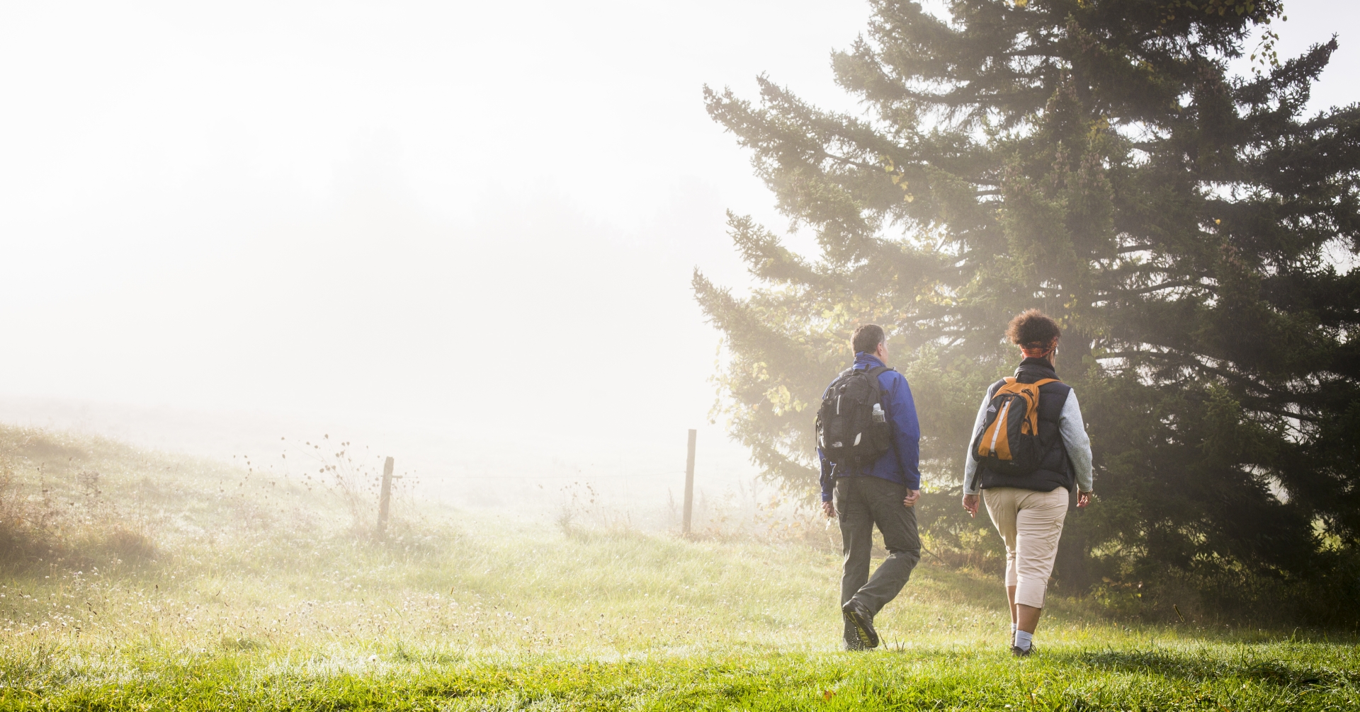 Walking Tours & Hiking Trips Experience Local Country Walkers