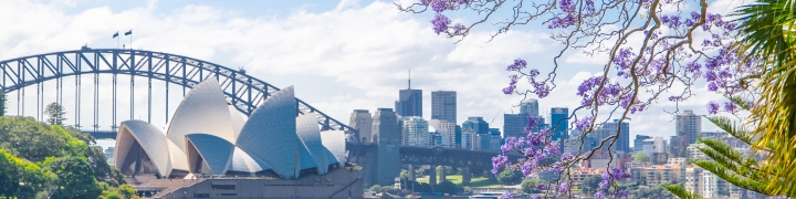 he view of Opera house from royal botanic garden with Jacaranda mimosifolia flower in the spring season.